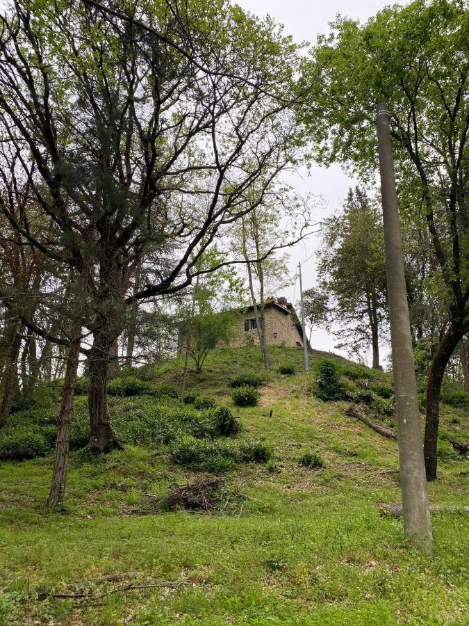 Homestay Naturemugello Oasi Naturista *
