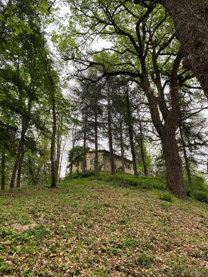 Naturemugello Oasi Naturista